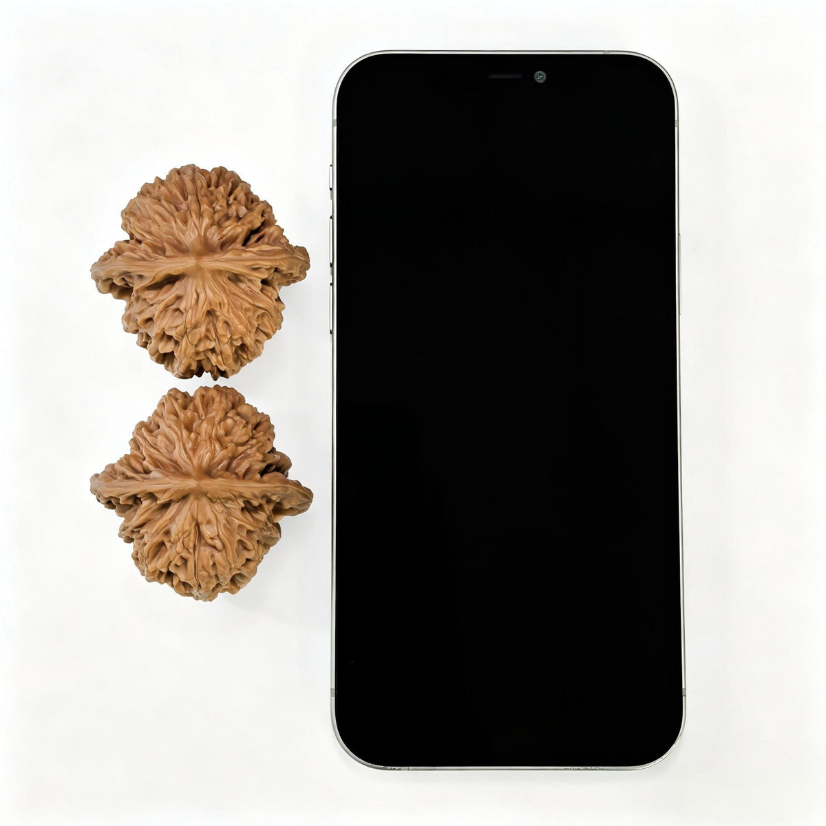 "Spherical Rosy Cloud Ridge" Qiuxing Xiayunling Low-Profile Wenwan Walnuts Pair | 43.0mm x 43.0mm | XYL-1501C - ThePatinaProject