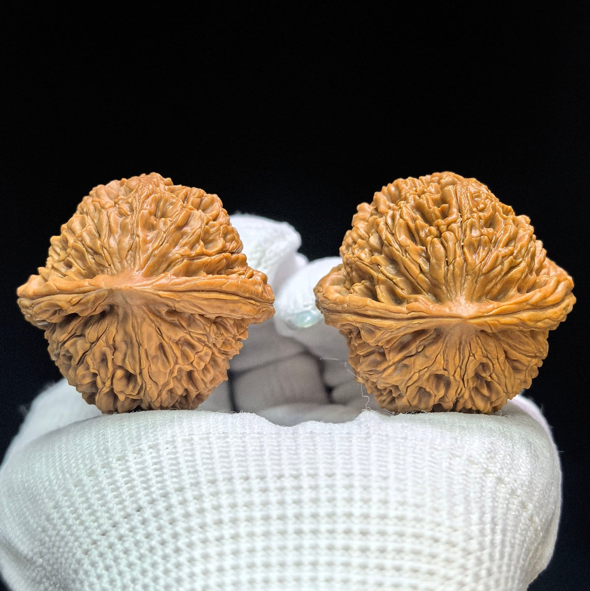 "Spherical Water Dragon Texture" Qiuxing Shuilongwen Low-Profile Wenwan Walnuts Pair | 37.0mm x 37.0mm | SLW-1503C - ThePatinaProject