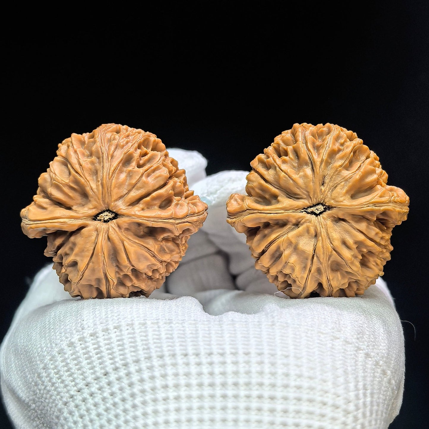 "Spherical Water Dragon Texture" Qiuxing Shuilongwen Low-Profile Wenwan Walnuts Pair | 37.0mm x 37.0mm | SLW-1503C - ThePatinaProject