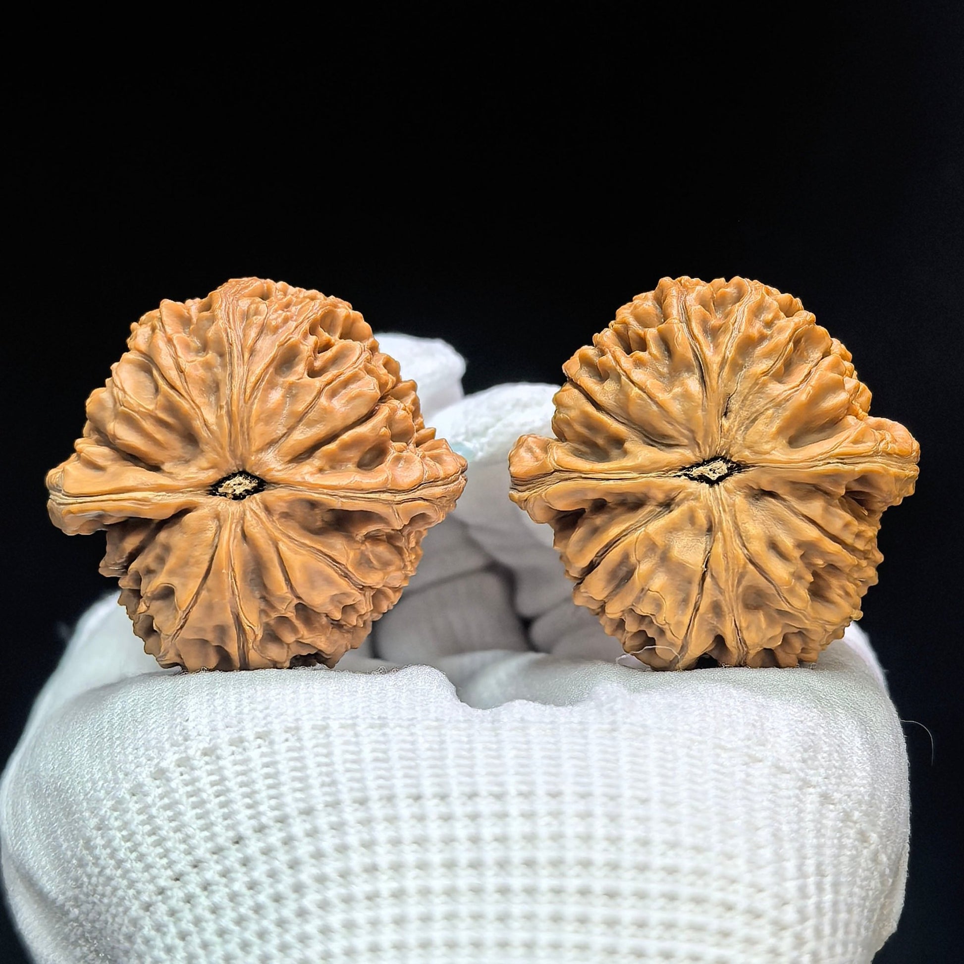 "Spherical Water Dragon Texture" Qiuxing Shuilongwen Low-Profile Wenwan Walnuts Pair | 37.0mm x 37.0mm | SLW-1503C - ThePatinaProject