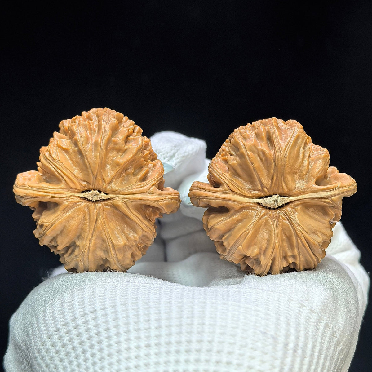 “Spherical White Lion” Bai Shizi Wenwan Walnut Pair | 39.0mm × 40.0mm | QXBSJ-1509C - ThePatinaProject