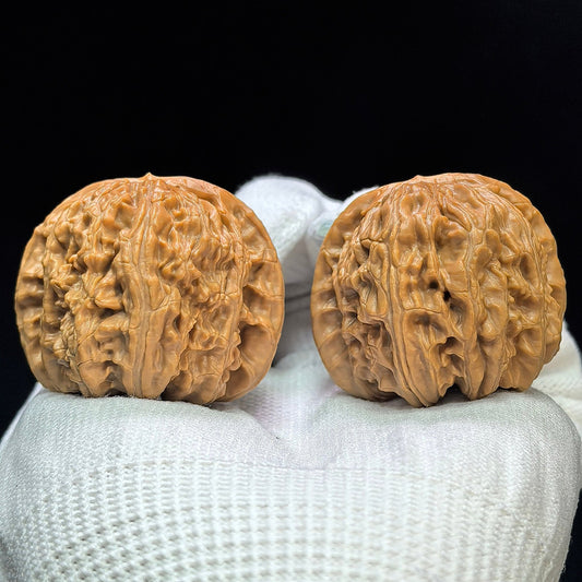 “Spherical White Lion” Bai Shizi Wenwan Walnut Pair | 39.0mm × 40.0mm | QXBSJ-1509C - ThePatinaProject