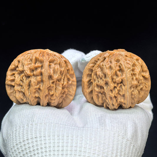 "Spherical White Lion" Qiuxing Baishizi Low-Profile Wenwan Walnuts Pair | 41.0mm x 41.0mm | QXBSJ-1502C - ThePatinaProject