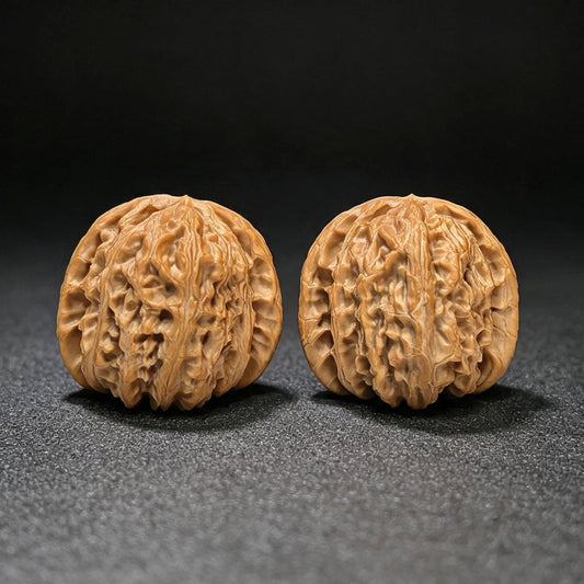 Spherical White Lion Wenwan Walnut Pair | 40.0mm × 41.0mm | QXBSZ-17H0 - ThePatinaProject