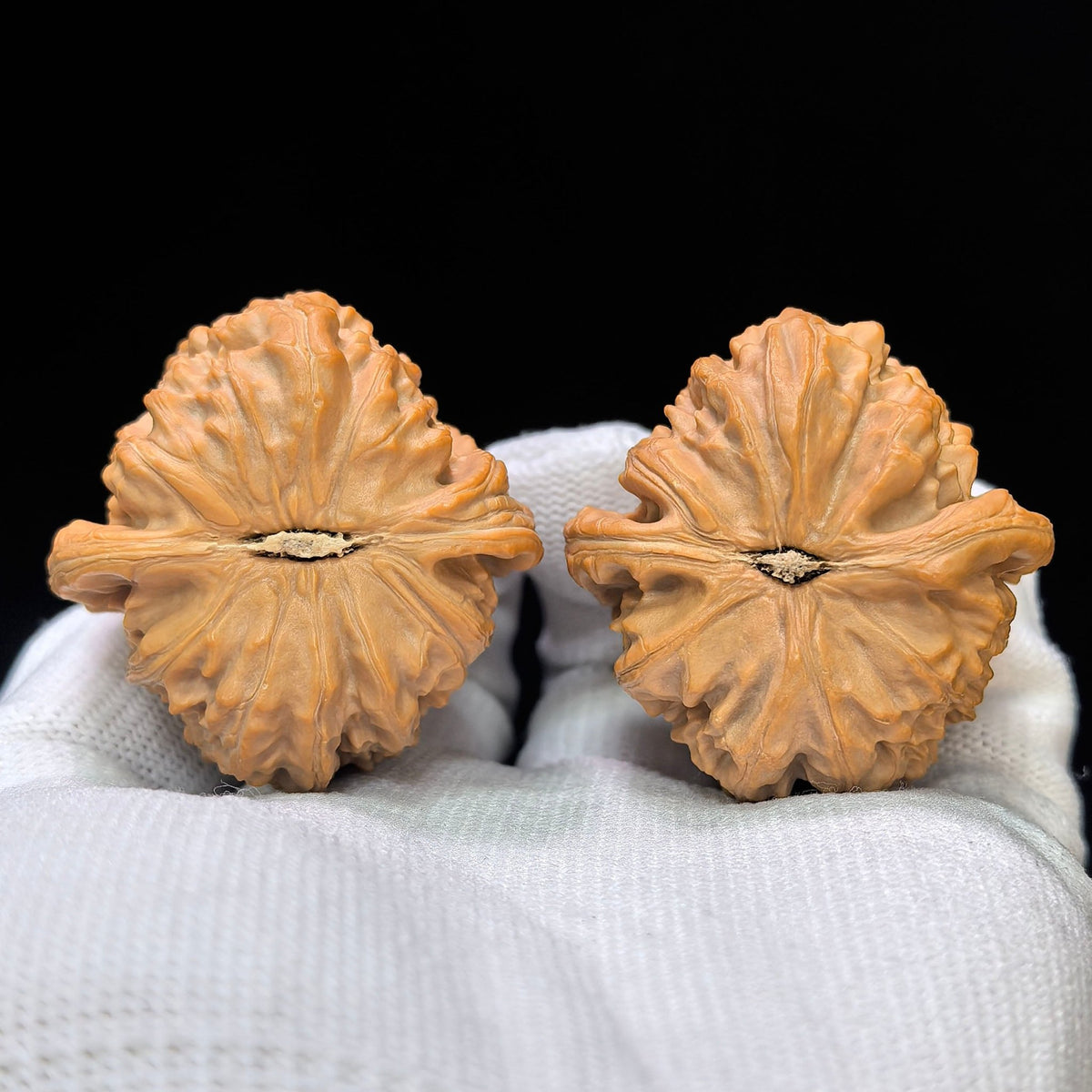 Spherical White Lion Wenwan Walnut Pair | 40.0mm × 41.0mm | QXBSZ-17H0 - ThePatinaProject