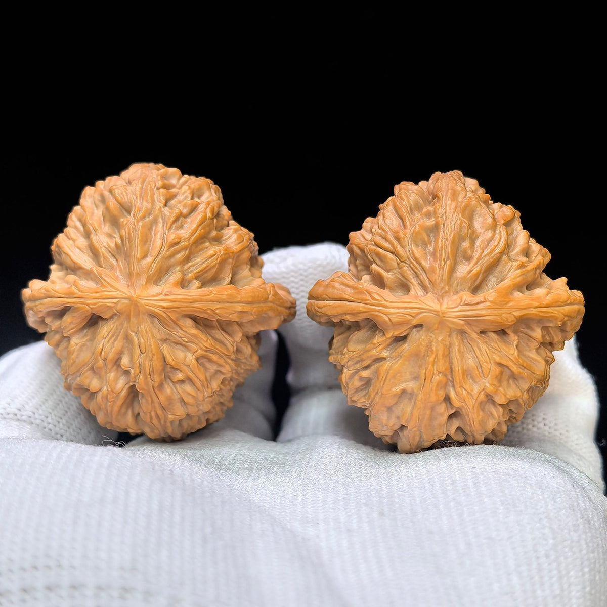 Spherical White Lion Wenwan Walnut Pair | 40.0mm × 41.0mm | QXBSZ-17H0 - ThePatinaProject