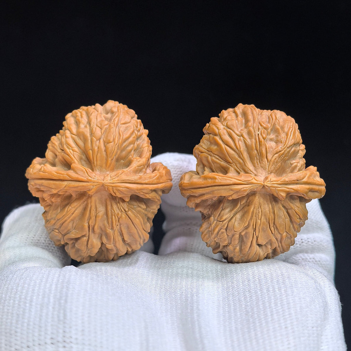Spherical White Lion Wenwan Walnut Pair | Broad Round Profile | 41.0mm × 47.0mm | QXBSZ-17C4C - ThePatinaProject