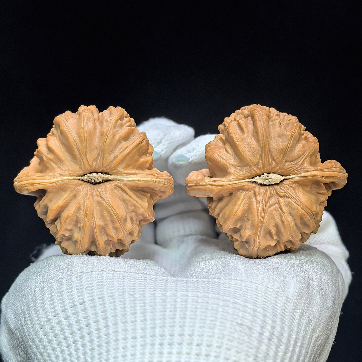 "Spherical White Lionhead" Qiuxing Baishizi QXBSJ-1505C Low-Profile Wenwan Walnuts Pair | 41.0mm x 40.0mm | QXBSJ-1505C - ThePatinaProject