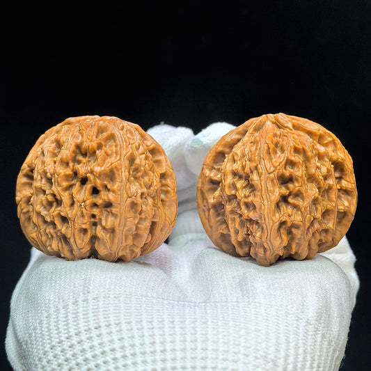 "Spherical White Lionhead" Qiuxing Baishizi QXBSJ-1507C Low-Profile Wenwan Walnuts Pair | 42.0mm x 42.0mm | QXBSJ-1507C - ThePatinaProject
