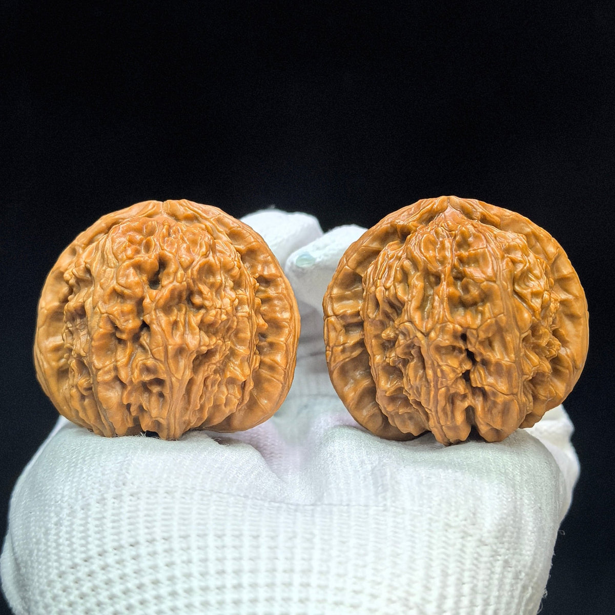 "Spherical White Lionhead" Qiuxing Baishizi QXBSJ-1507C Low-Profile Wenwan Walnuts Pair | 42.0mm x 42.0mm | QXBSJ-1507C - ThePatinaProject