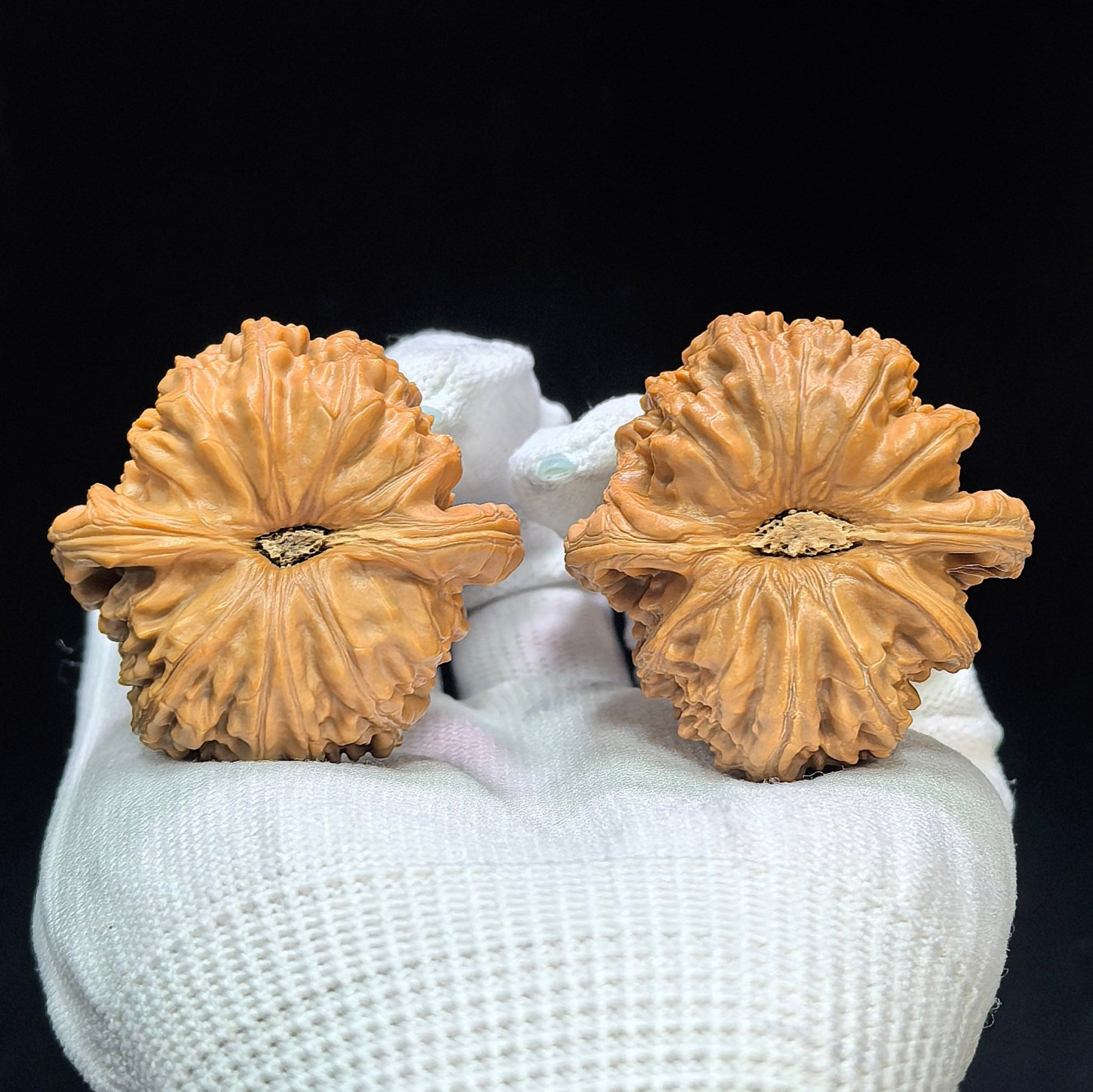 "Spherical White Lionhead" Qiuxing Baishizi QXBSJ-1508C Low-Profile Wenwan Walnuts Pair | 42.0mm x 43.0mm | QXBSJ-1508C - ThePatinaProject