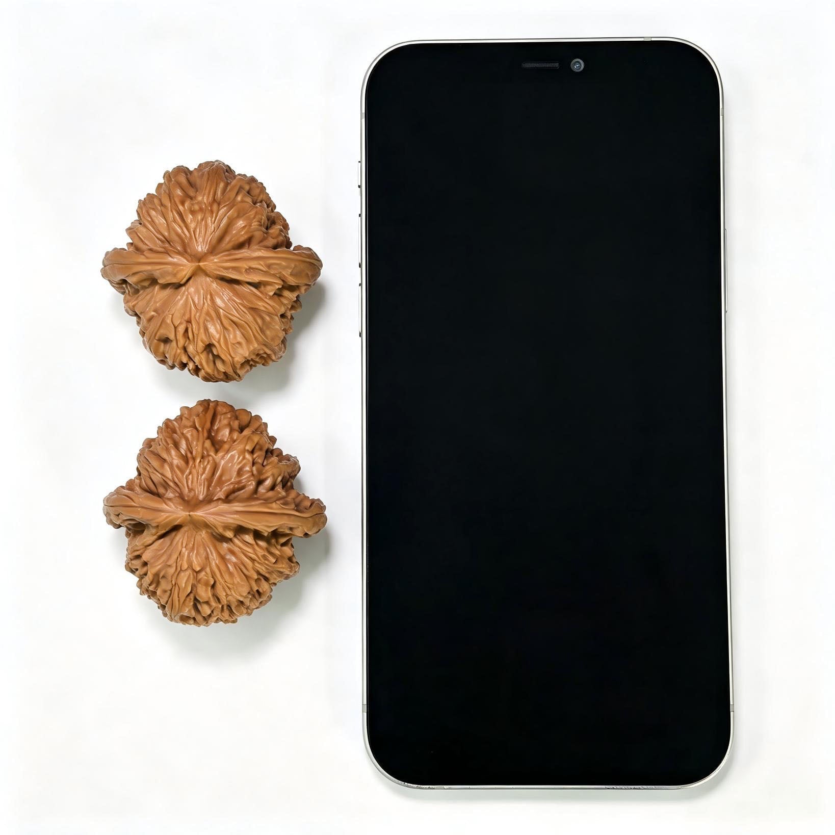 "Spherical White Lionhead" Qiuxing Baishizi QXBSJ-1508C Low-Profile Wenwan Walnuts Pair | 42.0mm x 43.0mm | QXBSJ-1508C - ThePatinaProject