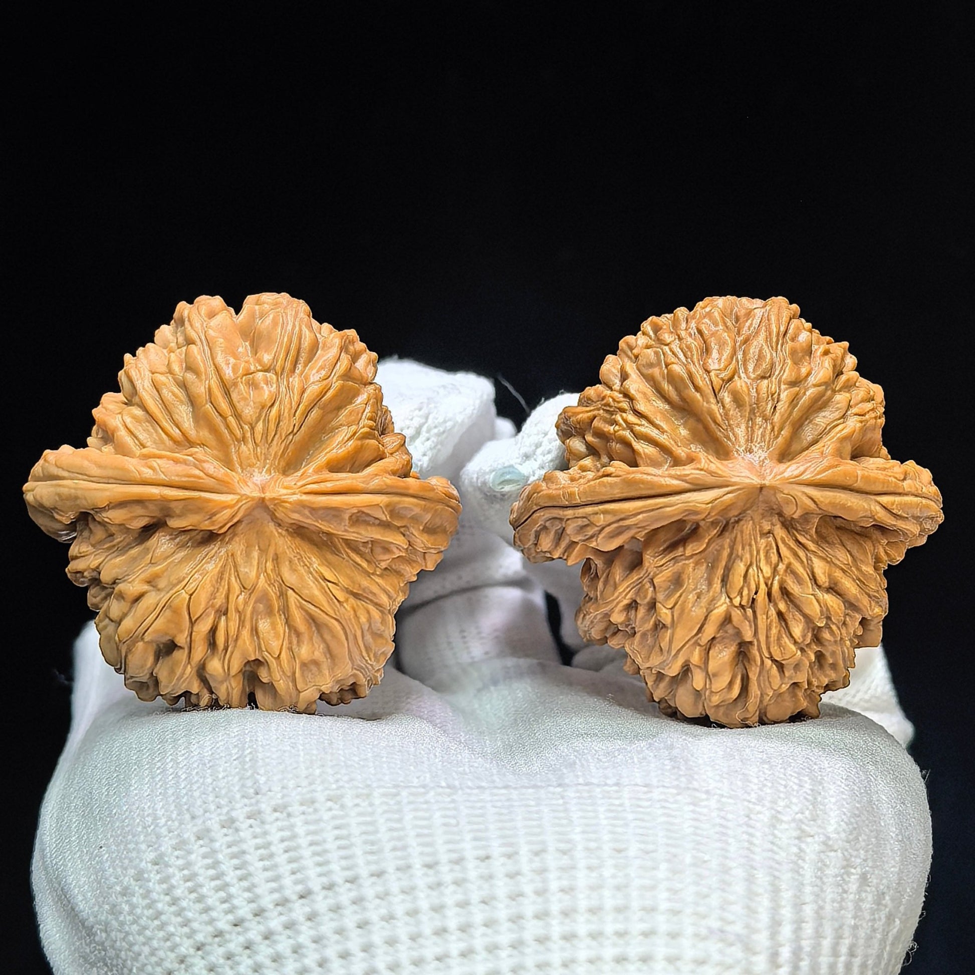 "Spherical White Lionhead" Qiuxing Baishizi QXBSJ-1508C Low-Profile Wenwan Walnuts Pair | 42.0mm x 43.0mm | QXBSJ-1508C - ThePatinaProject