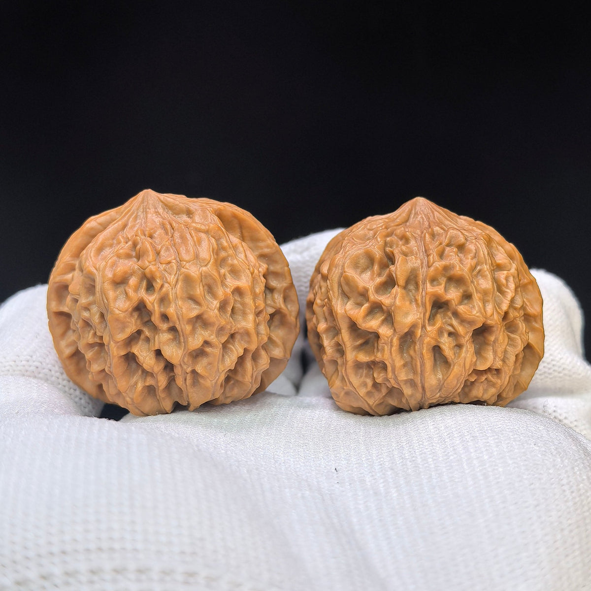 "Star Lotus Lionhead" (Xing Lian Shi Tou) Scholar Walnuts Pair | 37.0mm x 35.0mm | Low-Profile Sacred Radiant Base | Collector Grade Masterpiece | Stock ID: WM-SY1B6 - ThePatinaProject