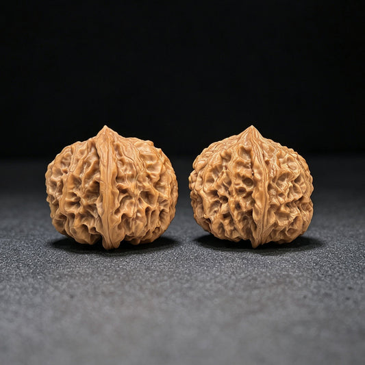 "Star Lotus Lionhead" (Xing Lian Shi Tou) Scholar Walnuts Pair | 37.0mm x 35.0mm | Low-Profile Sacred Radiant Base | Collector Grade Masterpiece | Stock ID: WM-SY1B6 - ThePatinaProject