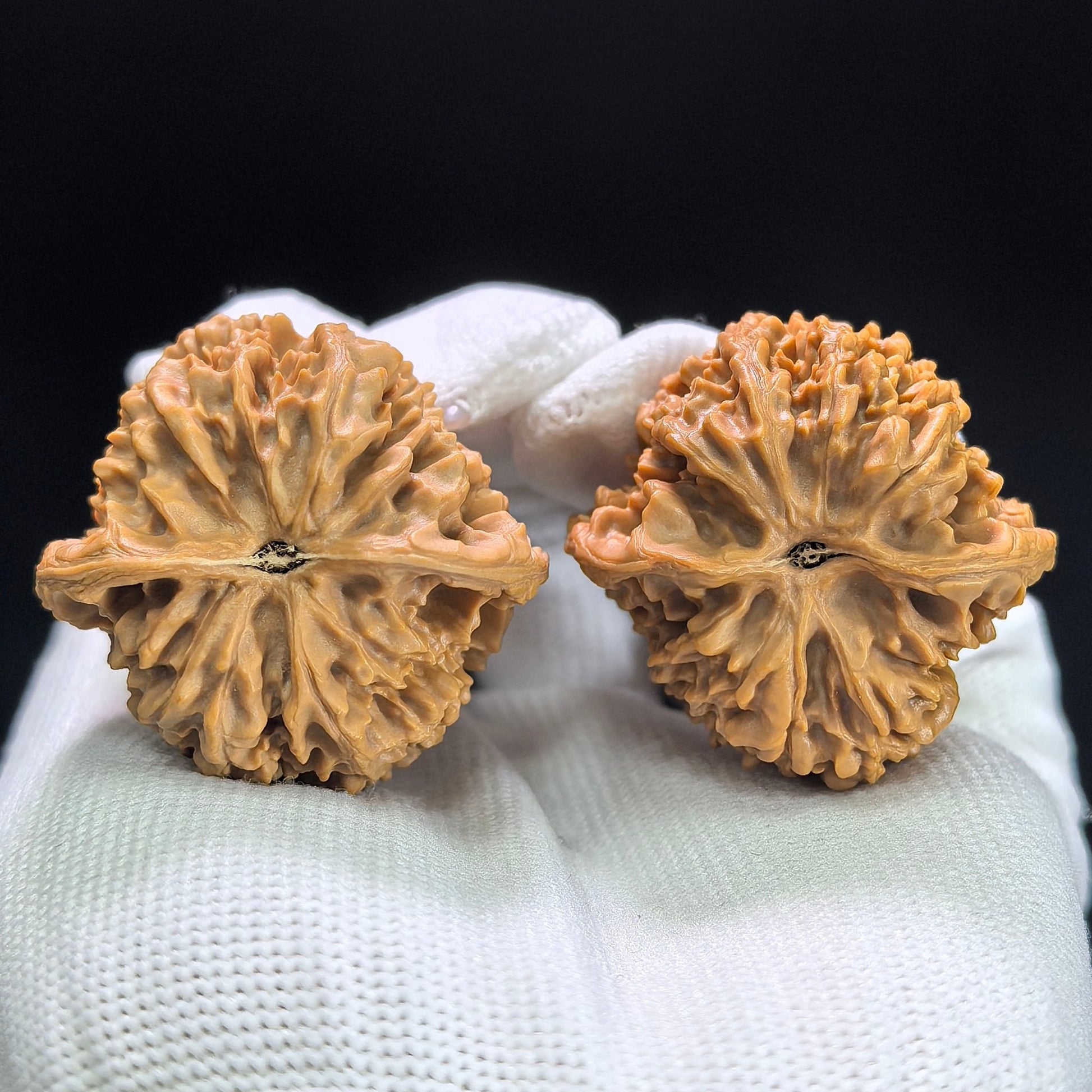 "Starry Sky" Mantianxing Low-Profile Wenwan Walnuts Pair | 36.0mm x 34.0mm | MTX-1403 - ThePatinaProject
