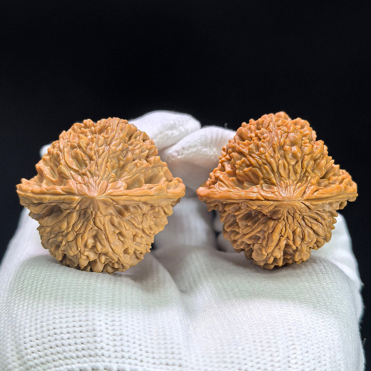 "Starry Sky" Mantianxing Low-Profile Wenwan Walnuts Pair | 36.0mm x 34.0mm | MTX-1403 - ThePatinaProject