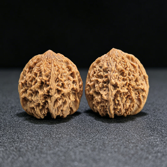 "Starry Sky" Mantianxing Wenwan Walnuts (Pair) | 40.0mm x 40.0mm | Stock ID: MTX-1401 - ThePatinaProject