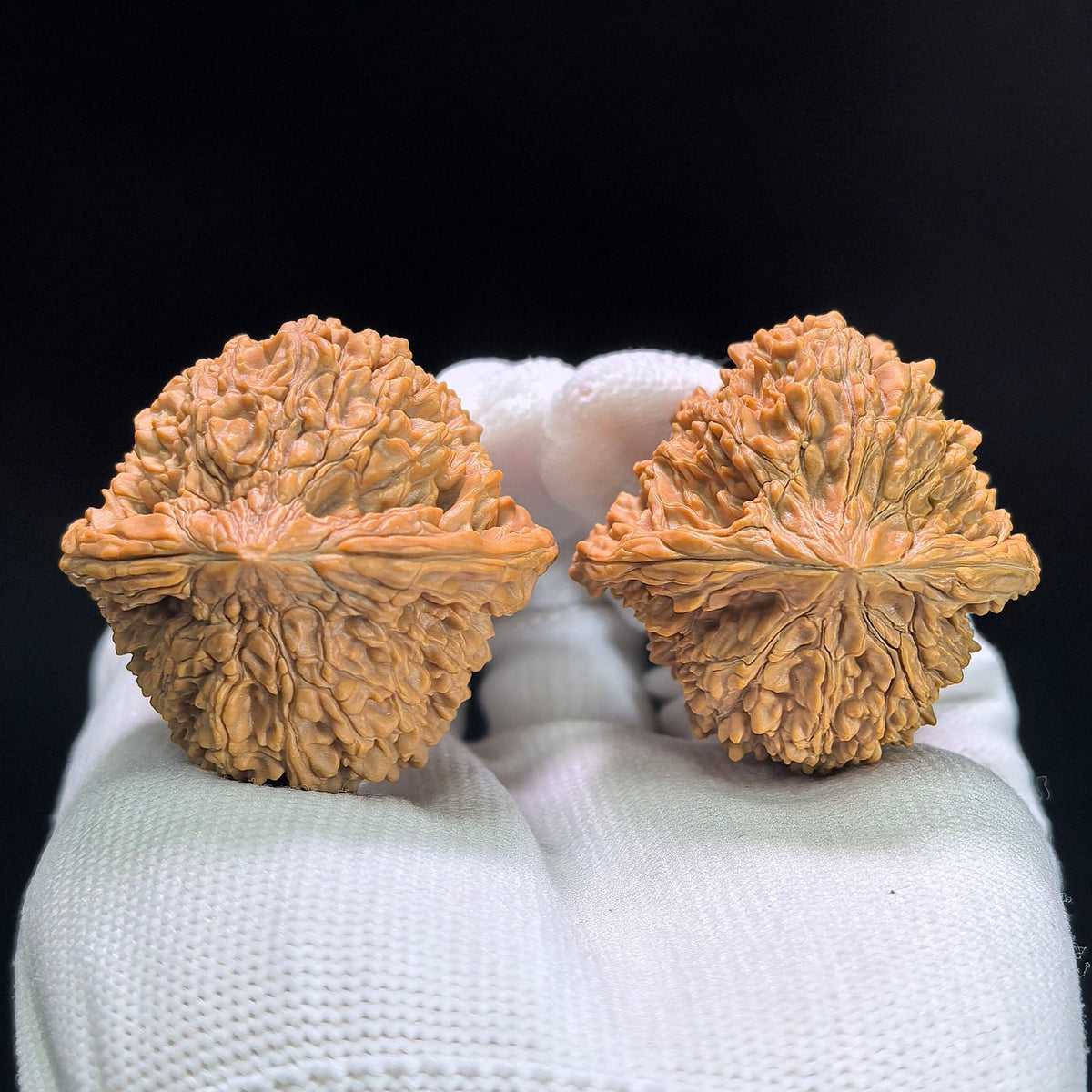 "Starry Sky" Mantianxing Wenwan Walnuts (Pair) | 40.0mm x 40.0mm | Stock ID: MTX-1401 - ThePatinaProject