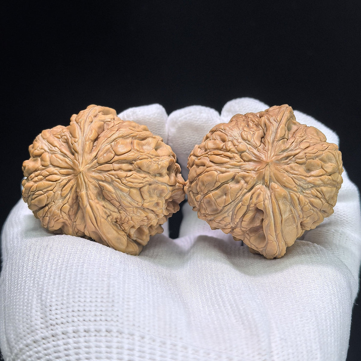 "Stone Door-Knocker Hawk Beak" Mendun Yinggouzui Wenwan Walnuts Pair | 41.0mm x 43.0mm | MD-1403 - ThePatinaProject