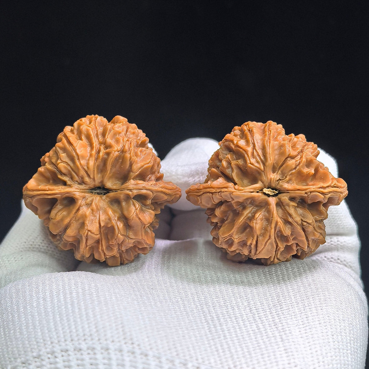 Tall-Ridged Deep-Textured Tongtian Ba Wenwan Walnut Pair — 40.0mm x 36.0mm | TTB-SY1H9 - ThePatinaProject