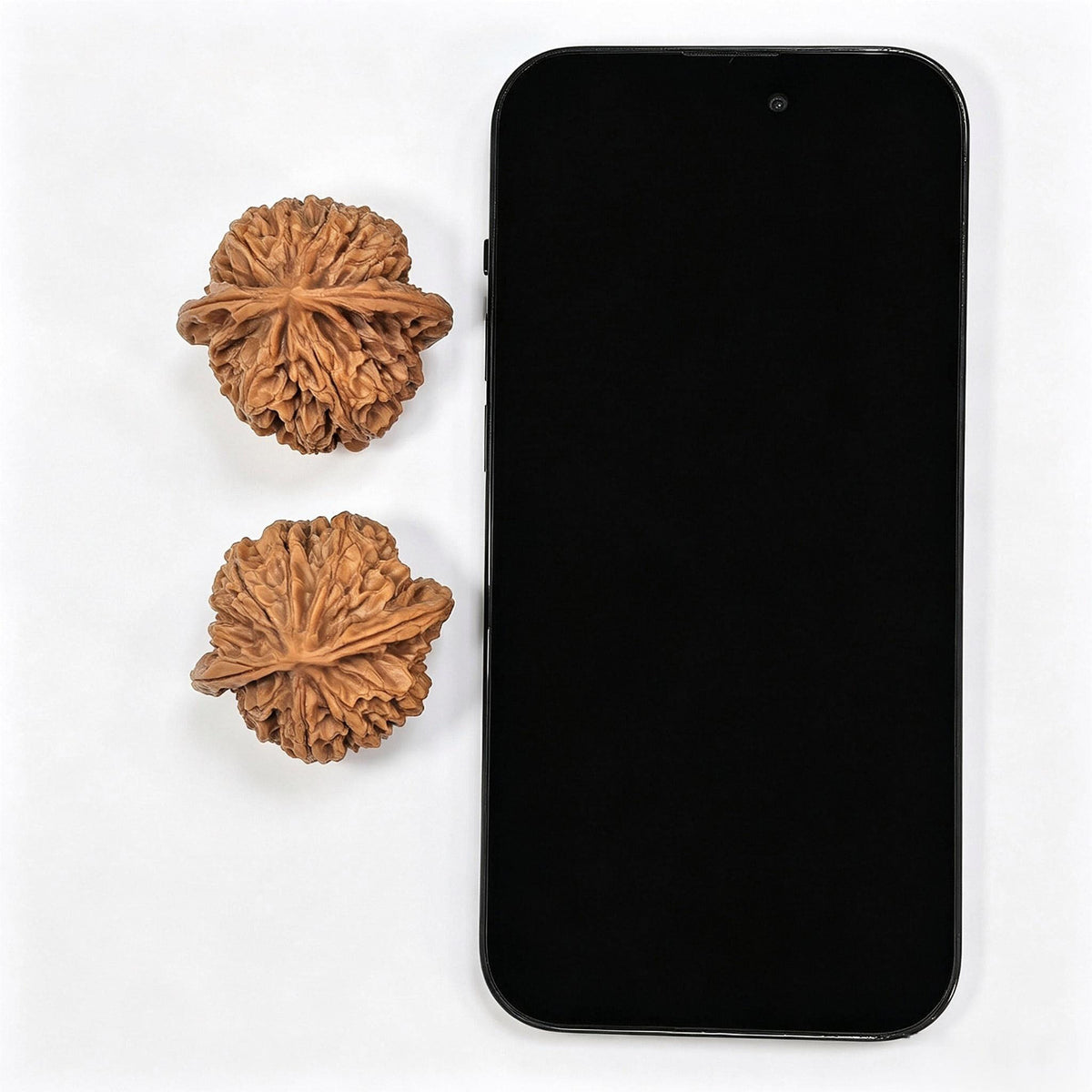 Tall-Ridged Deep-Textured Tongtian Ba Wenwan Walnut Pair — 40.0mm x 36.0mm | TTB-SY1H9 - ThePatinaProject