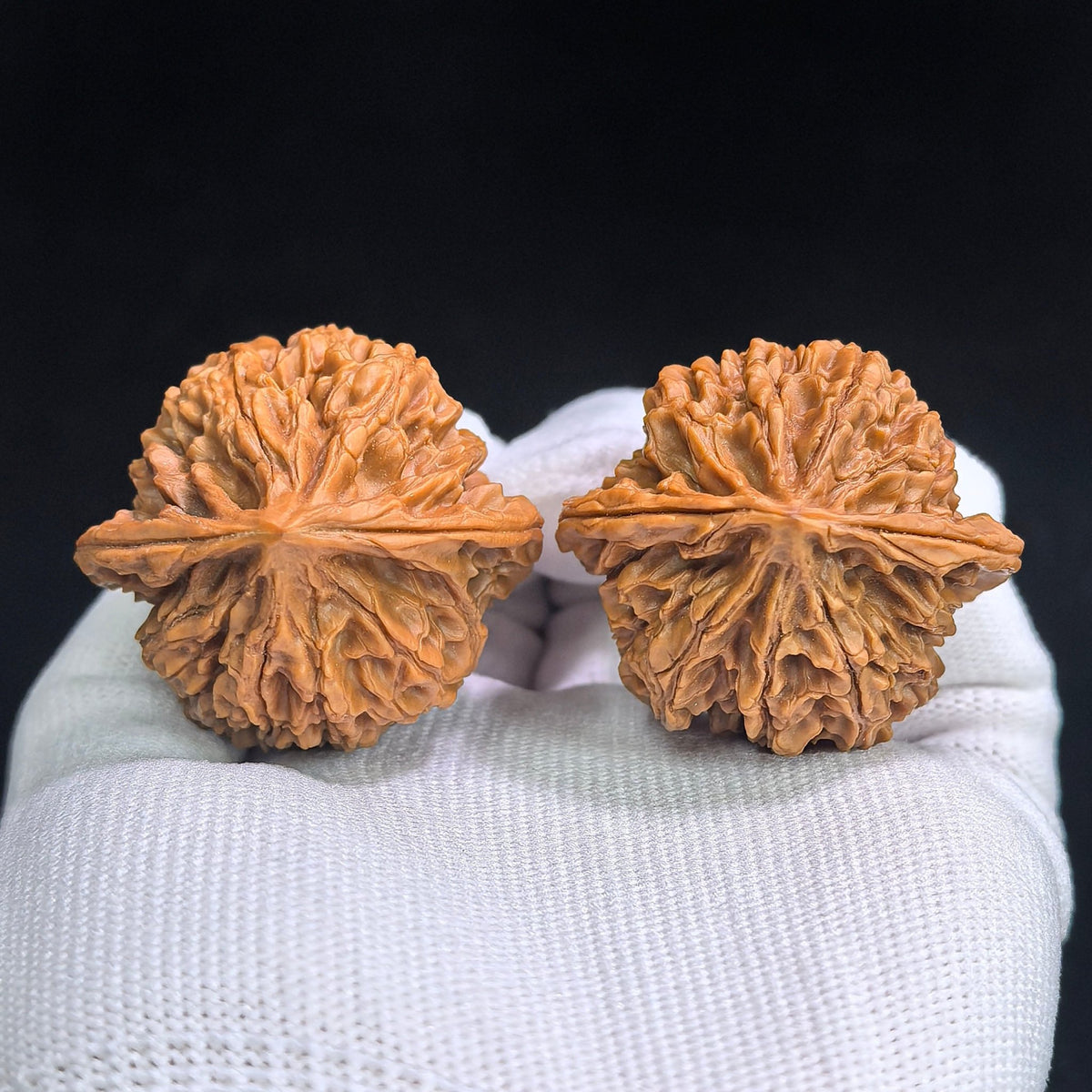 Tall-Ridged Deep-Textured Tongtian Ba Wenwan Walnut Pair — 40.0mm x 36.0mm | TTB-SY1H9 - ThePatinaProject