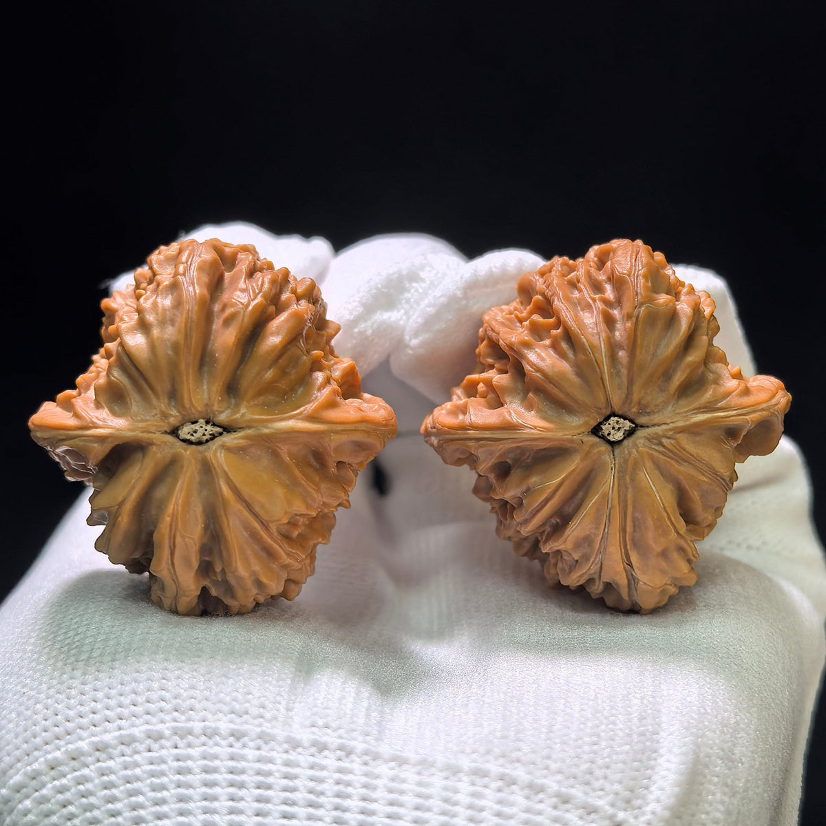 "Tall-Stance Millstone" Gaochun Mopan Classic Heritage Wenwan Walnuts Pair | 37.0mm x 37.0mm | MP-1117 - ThePatinaProject