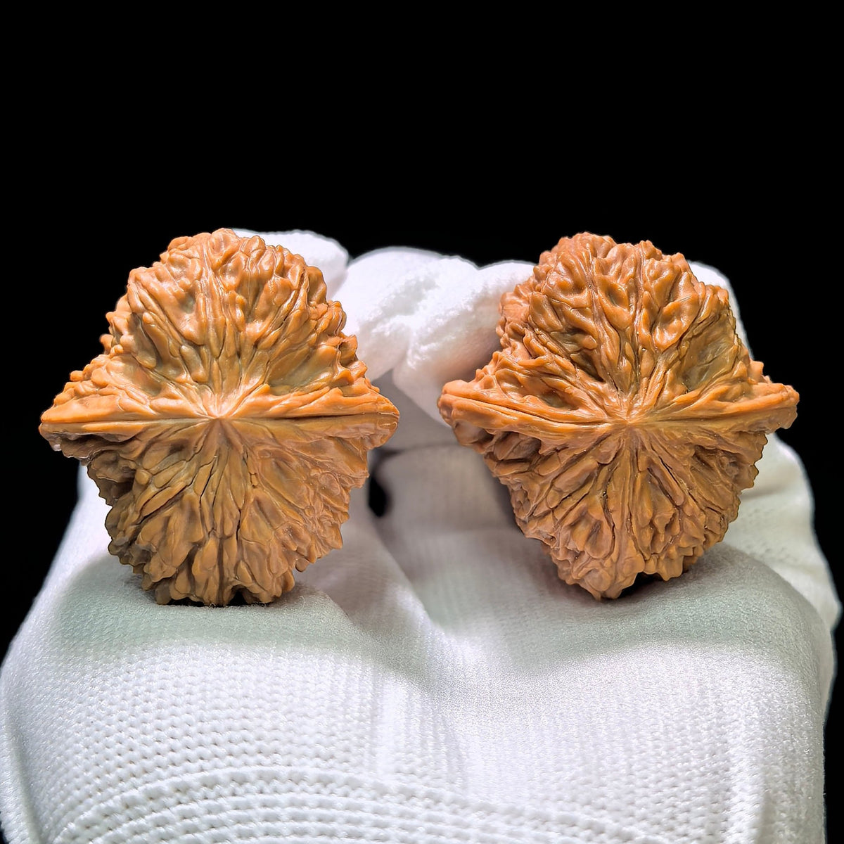 "Tall-Stance Millstone" Gaochun Mopan Classic Heritage Wenwan Walnuts Pair | 37.0mm x 37.0mm | MP-1117 - ThePatinaProject