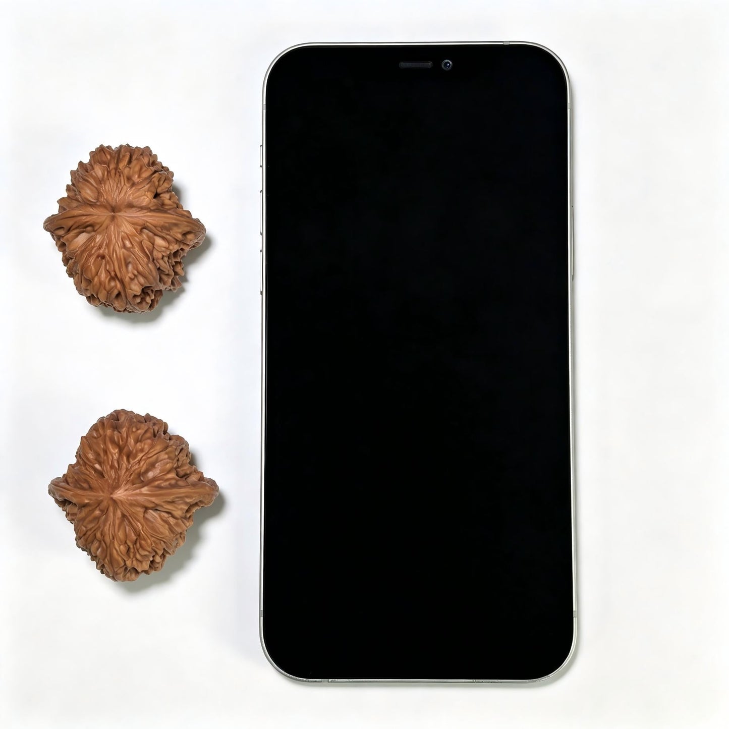 "Tall-Stance Millstone" Gaochun Mopan Classic Heritage Wenwan Walnuts Pair | 37.0mm x 37.0mm | MP-1117 - ThePatinaProject