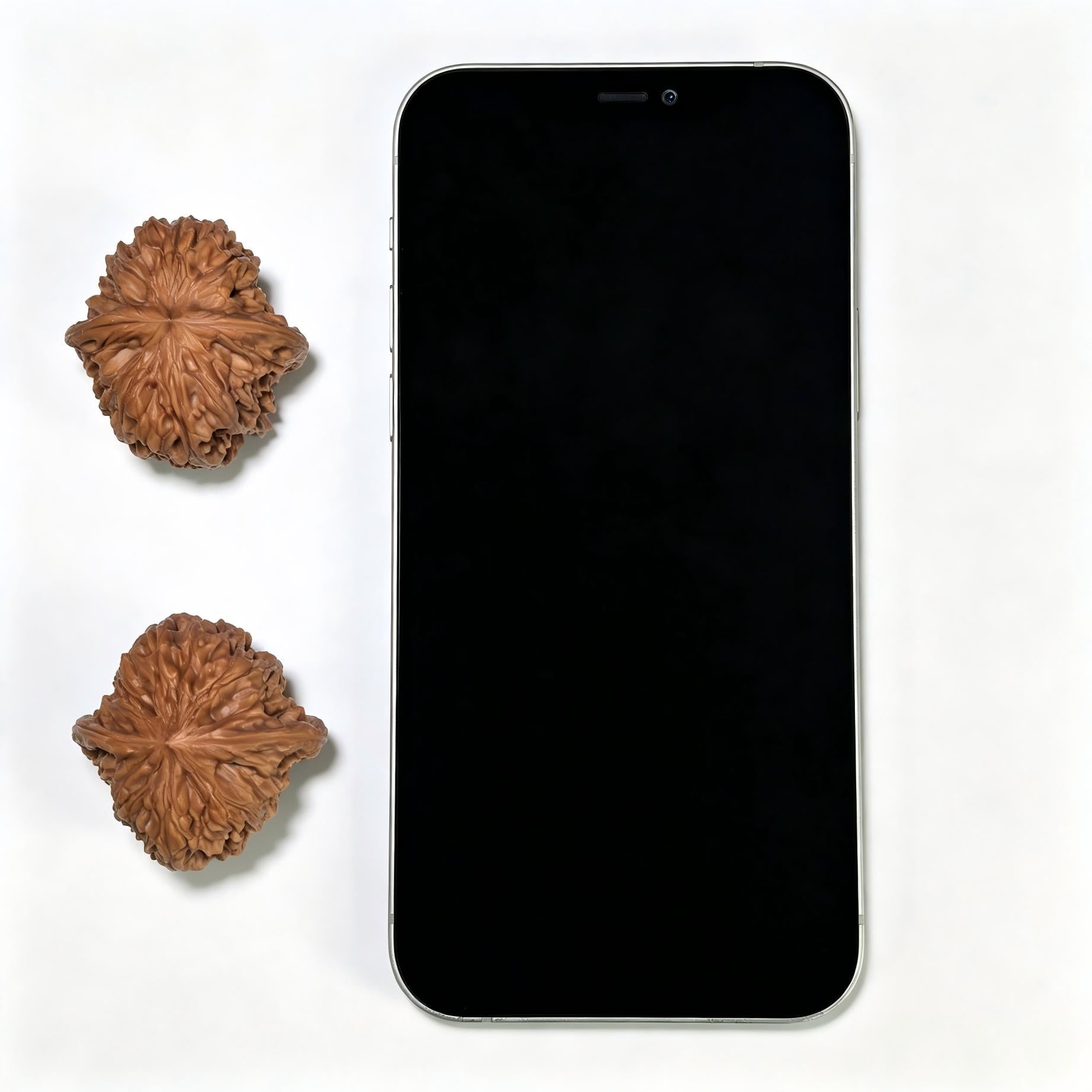 "Tall-Stance Millstone" Gaochun Mopan Classic Heritage Wenwan Walnuts Pair | 37.0mm x 37.0mm | MP-1117 - ThePatinaProject