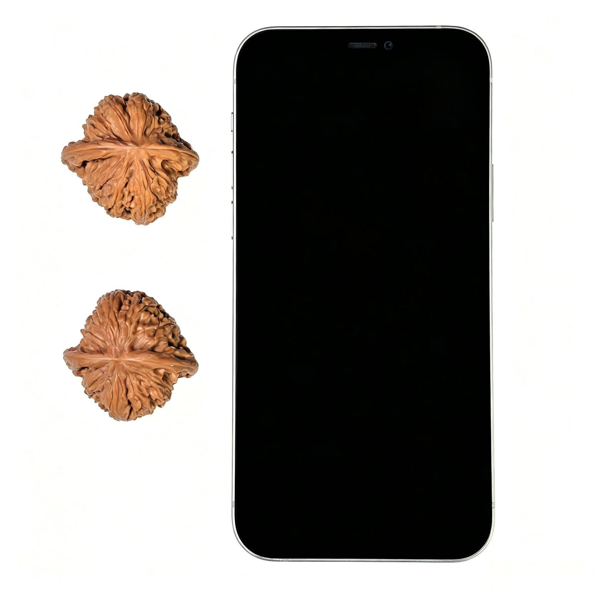 "Tall Stature Millstone" Gaozhuang Mopan MP-1404 Classic Wenwan Walnuts Pair | 36.0mm x 35.0mm | MP-1404 - ThePatinaProject