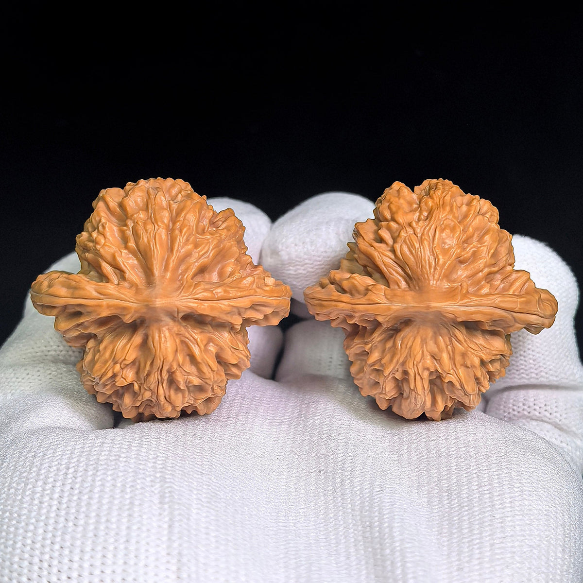 Taoxin Panlong Hutou Wenwan Walnuts Pair | Distinctive Heart-Like Form & Layered Texture | 39 × 38 mm | PLHT-19B1 - ThePatinaProject