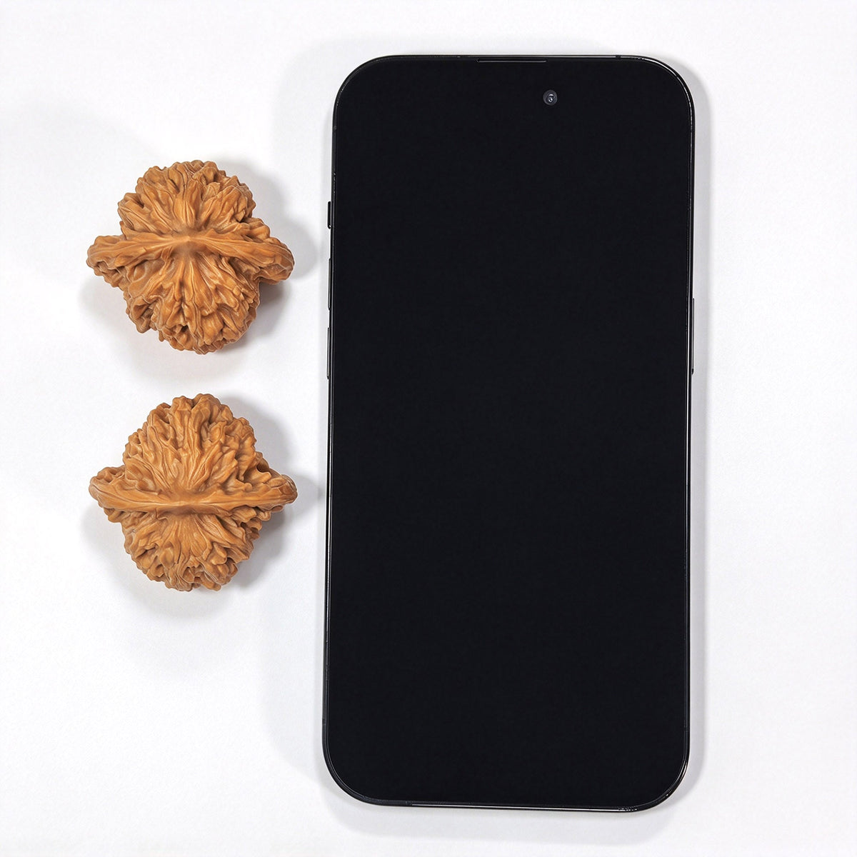 Taoxin Panlong Hutou Wenwan Walnuts Pair | Distinctive Heart-Like Form & Layered Texture | 39 × 38 mm | PLHT-19B1 - ThePatinaProject