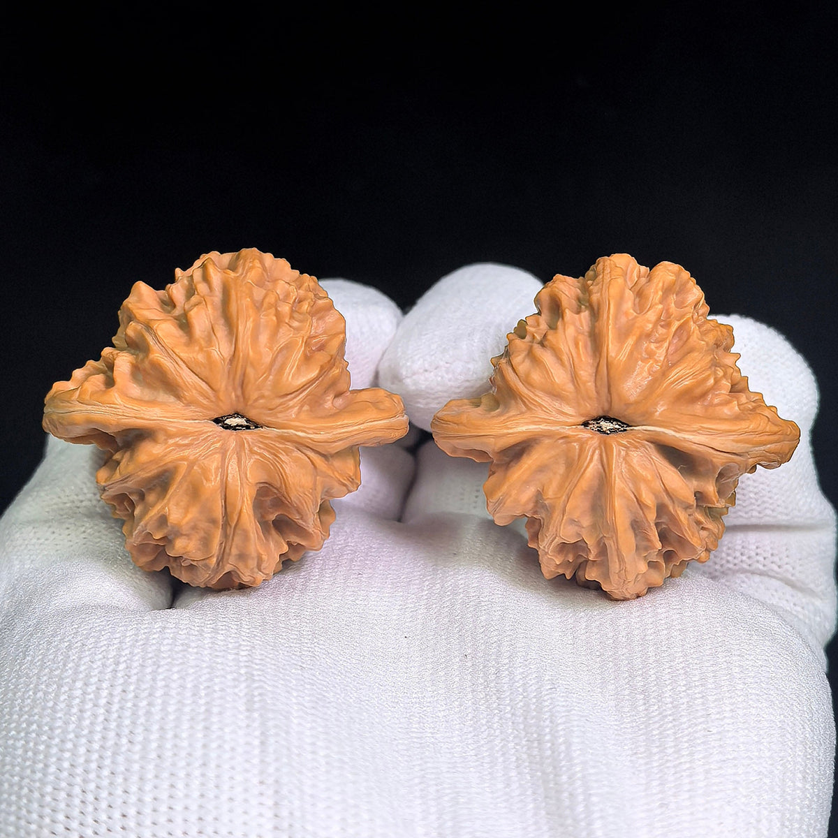 Taoxin Panlong Hutou Wenwan Walnuts Pair | Distinctive Heart-Like Form & Layered Texture | 39 × 38 mm | PLHT-19B1 - ThePatinaProject