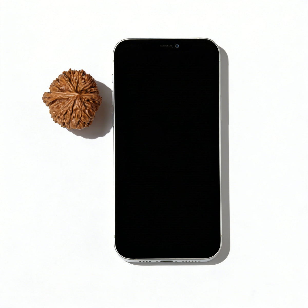 The "137" (Yi San Qi) Single Walnut | 37.0mm x 37.0mm | 137-301 - ThePatinaProject