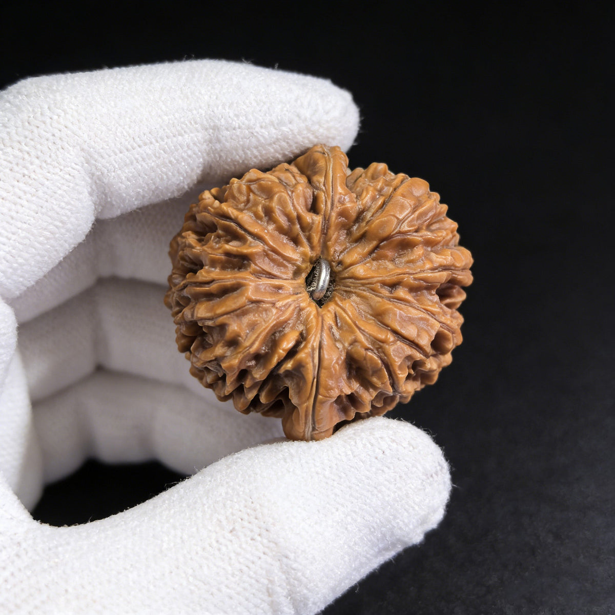 The "137" (Yi San Qi) Single Walnut | 37.0mm x 37.0mm | 137-301 - ThePatinaProject