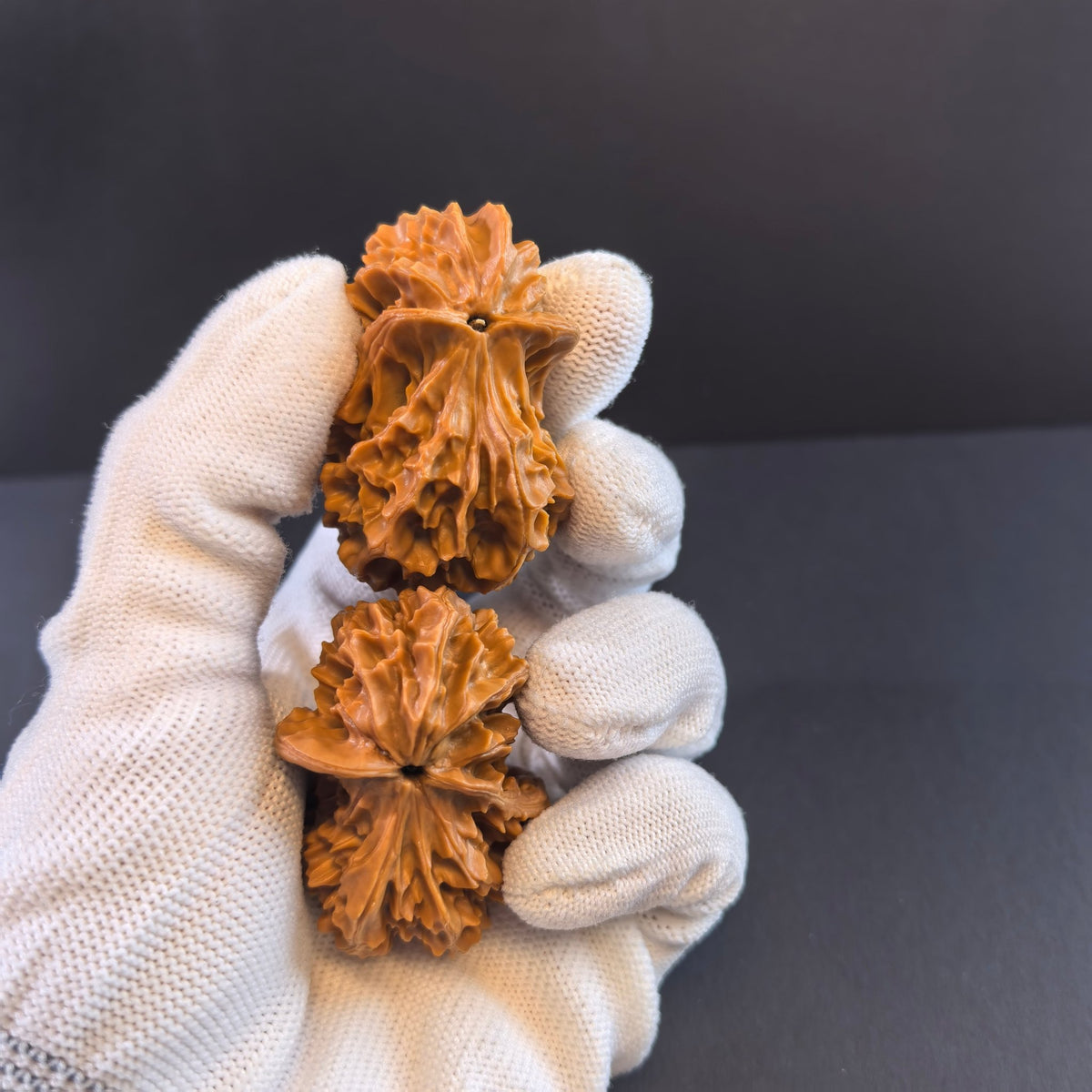 The "Alien Bird" – Rare Asymmetrical Walnut Pair | Natural Ergonomic Fidget - ThePatinaProject