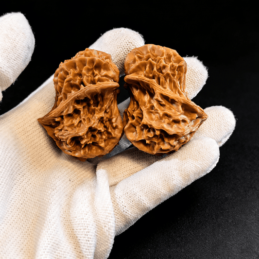 The "Alien Bird" – Rare Asymmetrical Walnut Pair | Natural Ergonomic Fidget - ThePatinaProject