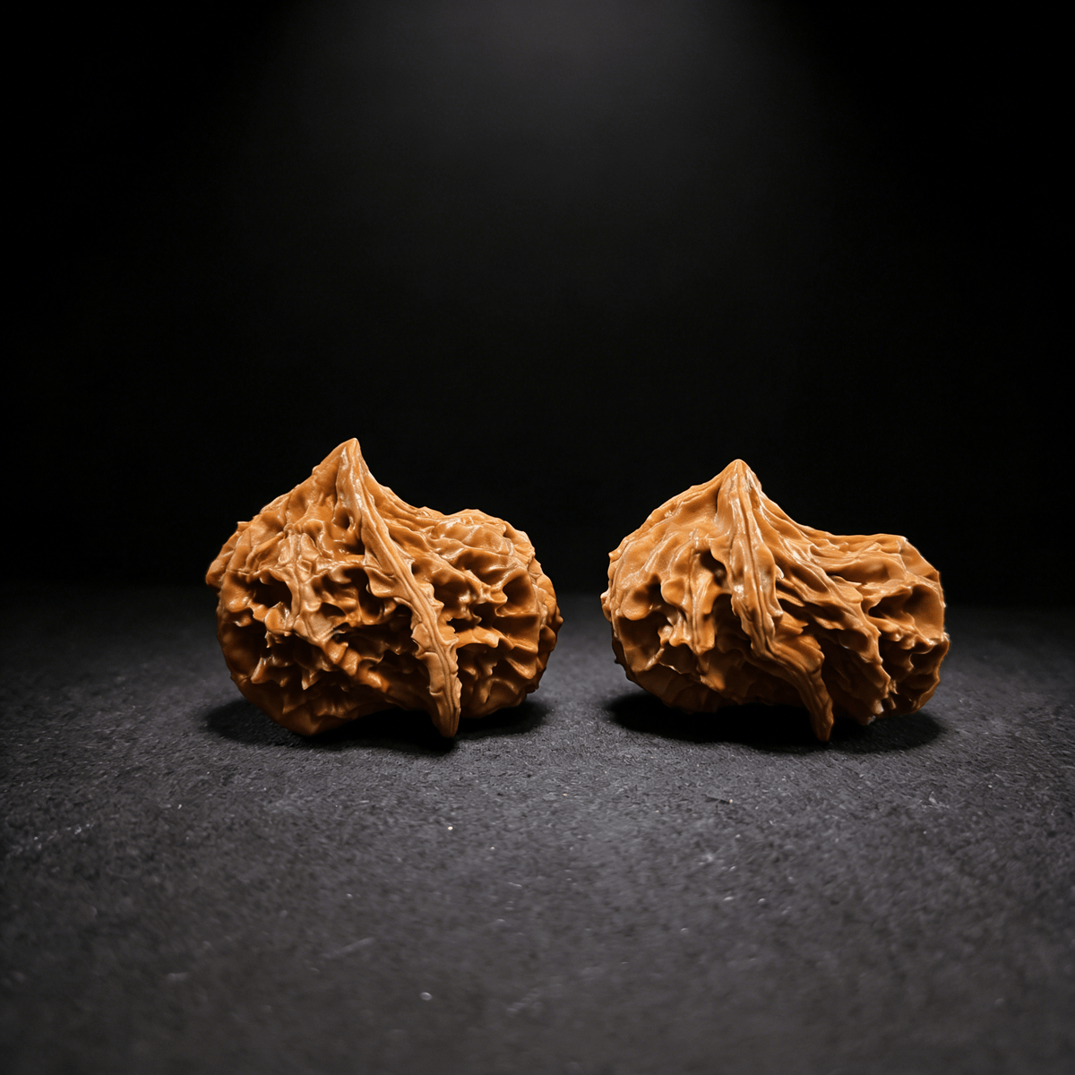The "Alien Bird" – Rare Asymmetrical Walnut Pair | Natural Ergonomic Fidget - ThePatinaProject