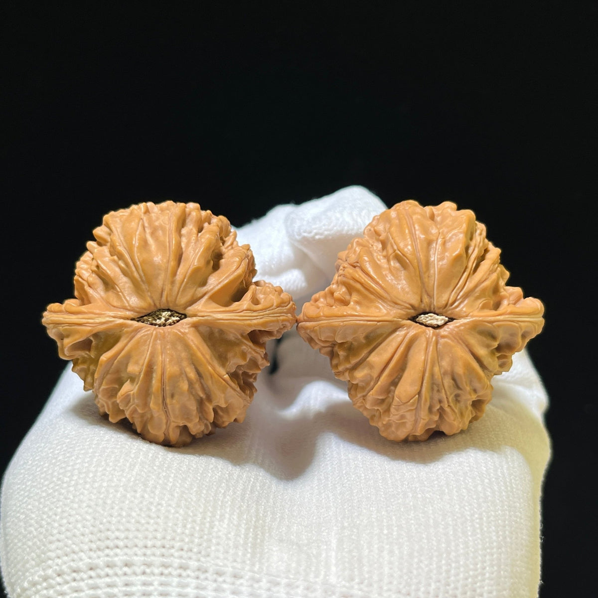 The "Ancient Millstone" (Mo Pan) Choice Miniature Scholar Walnuts | 39.0mm x 38.0mm | Compact Finger-Twirling Format | MP-1106 - ThePatinaProject