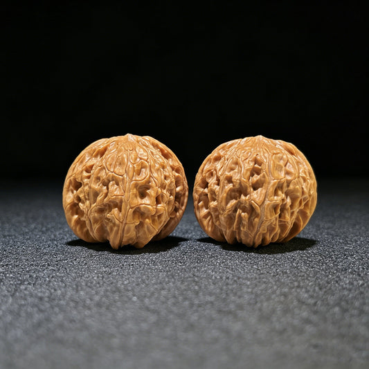 The "Ancient Millstone" (Mo Pan) Choice Miniature Scholar Walnuts | 39.0mm x 38.0mm | Compact Finger-Twirling Format | MP-1106 - ThePatinaProject