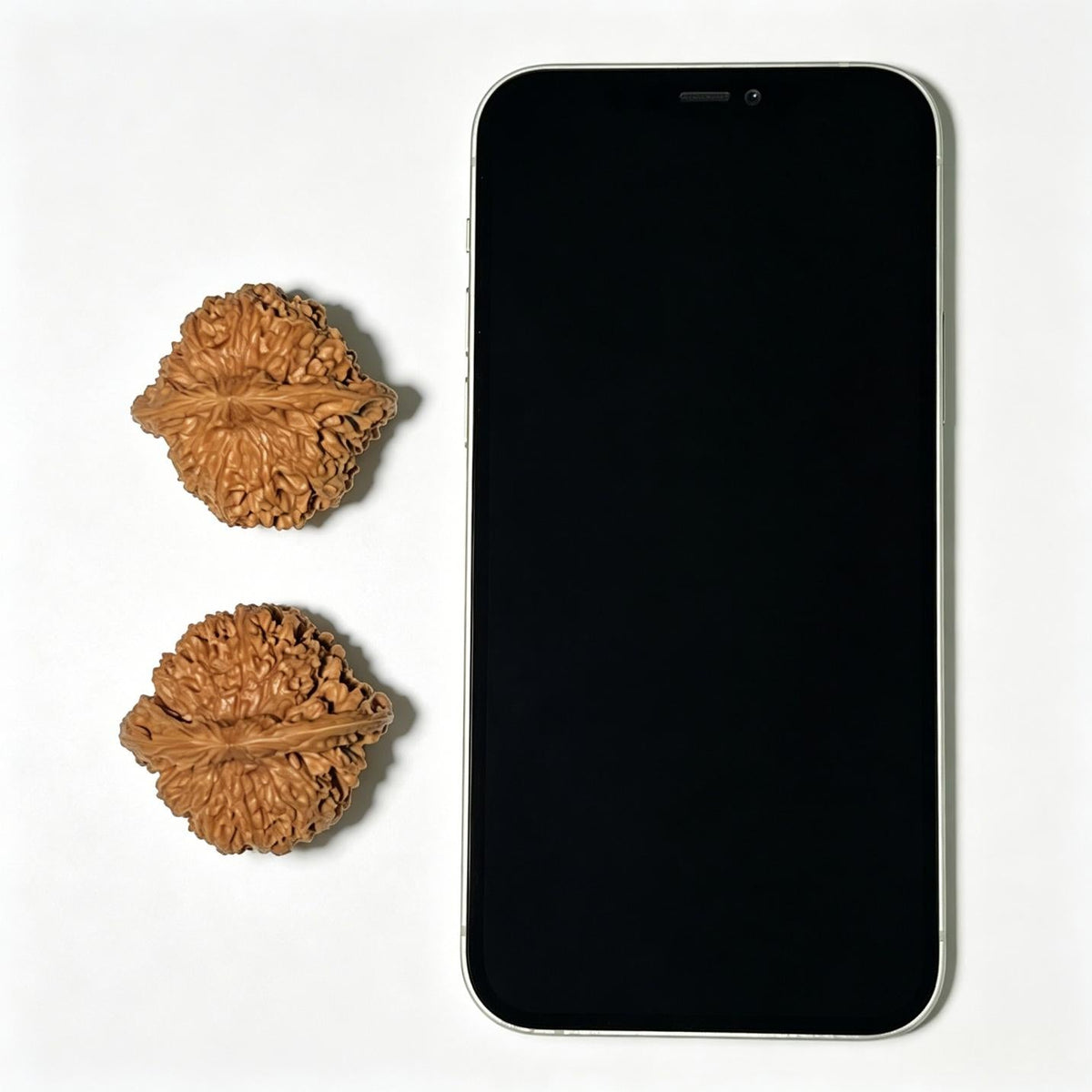 The "Ancient Millstone" (Mo Pan) Select Miniature Scholar Walnuts | 39.0mm x 35.0mm | Compact Shou Nian Format | MP-1004 - ThePatinaProject