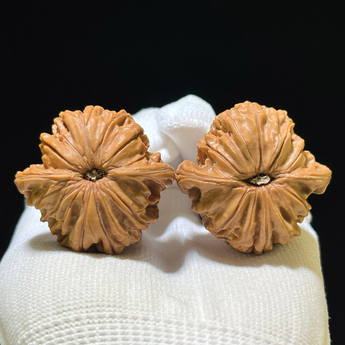 The "Ancient Millstone" (Mo Pan) Select Miniature Scholar Walnuts | 39.0mm x 38.0mm | Compact Shou Nian Format | MP-1108 - ThePatinaProject