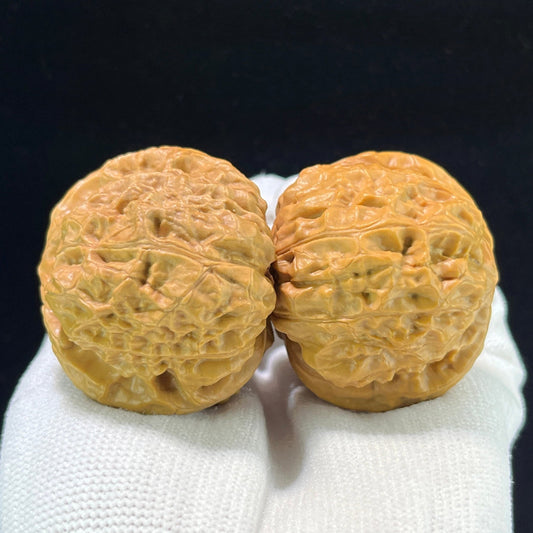 The "Ancient Pumpkin Ingot" (Nan Gua Dun) Choice Deep-Belly Pair | 41.0mm x 44.0mm | Heavy-Volume Shou Nian Format | NGD-1004 - ThePatinaProject