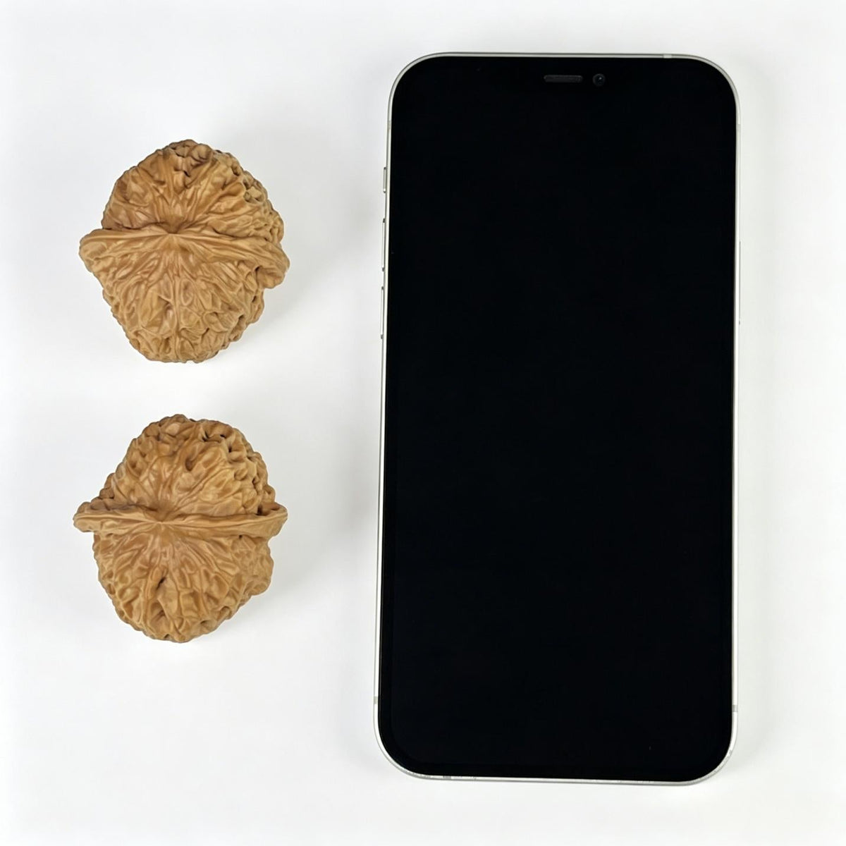 The "Ancient Pumpkin Ingot" (Nan Gua Dun) Choice Deep-Belly Pair | 41.0mm x 44.0mm | Heavy-Volume Shou Nian Format | NGD-1004 - ThePatinaProject