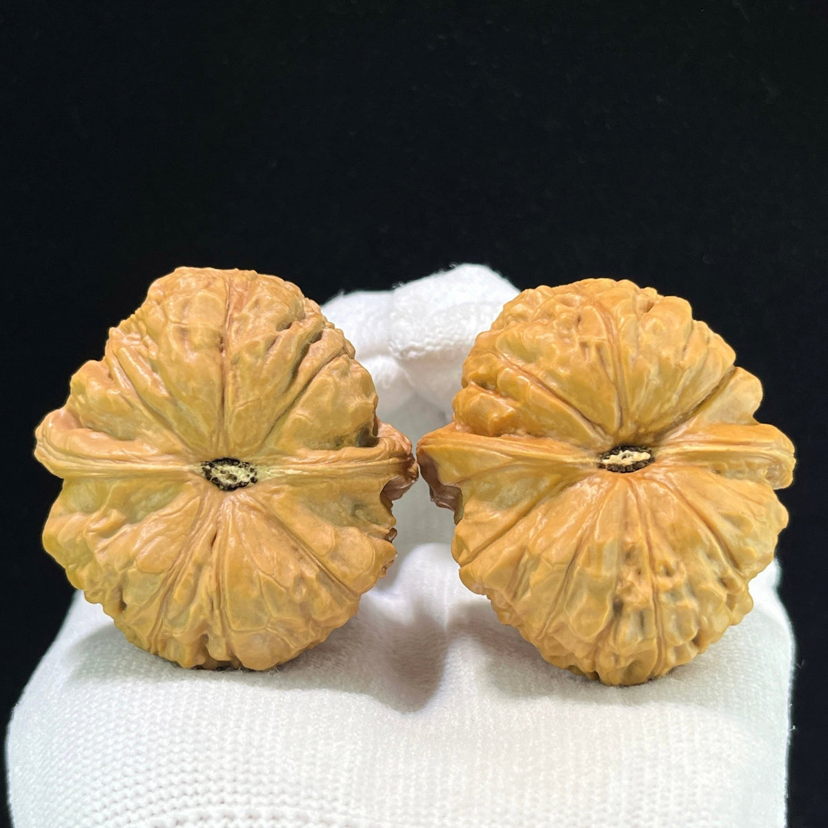 The "Ancient Pumpkin Ingot" (Nan Gua Dun) Choice Deep-Belly Pair | 41.0mm x 44.0mm | Heavy-Volume Shou Nian Format | NGD-1004 - ThePatinaProject