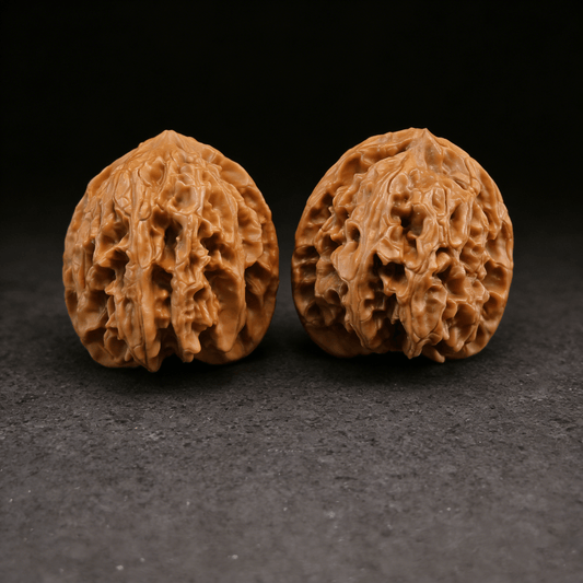 The "Apple Garden" Lion Head – 38mm Classic Round Pair | AG-11 (Actual Item Pictured) - ThePatinaProject
