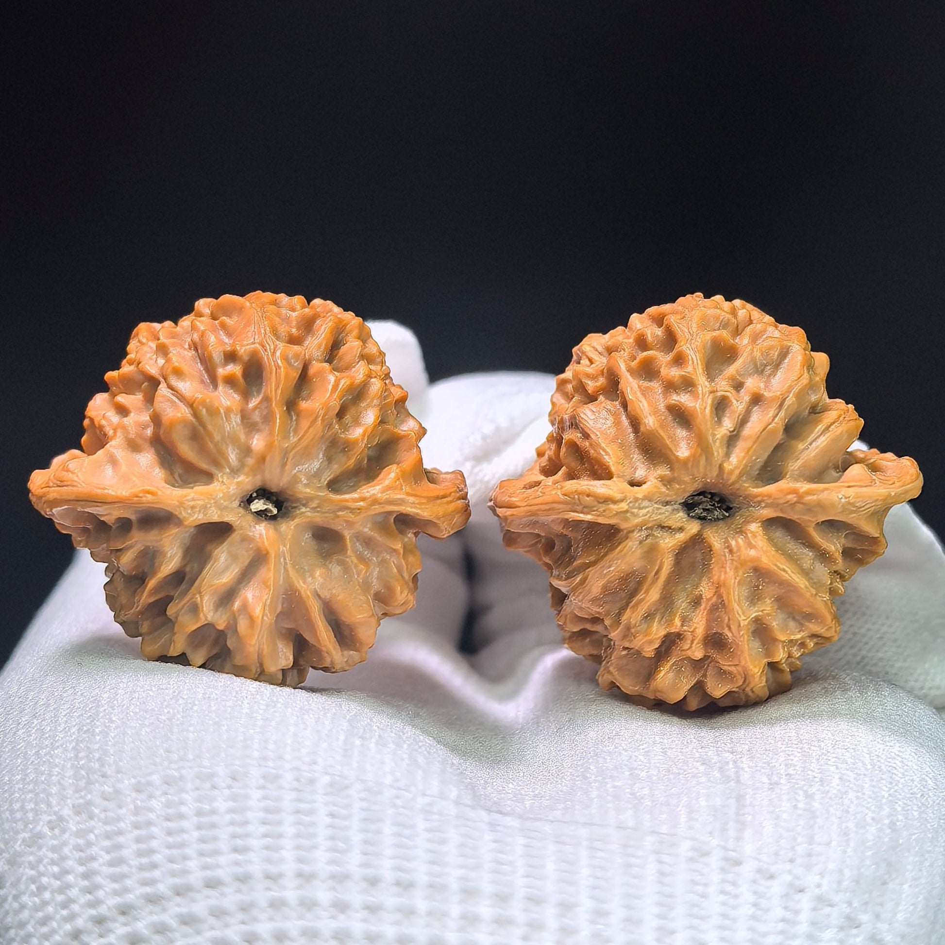 The "Apple Orchard" (Ping Guo Yuan) Premium Symmetrical Pair | 36.0mm x 36.0mm | PGY-1402 - ThePatinaProject