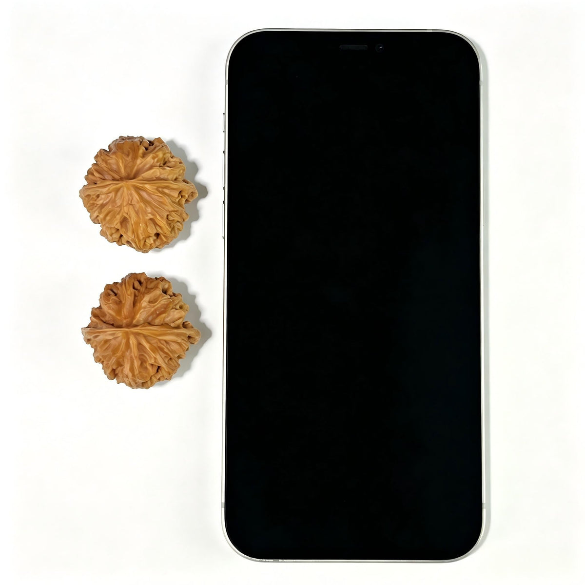 The "Apple Orchard" (Ping Guo Yuan) Traditional Hand-Twister Pair | 32.0mm x 31.0mm | PGY-804 - ThePatinaProject